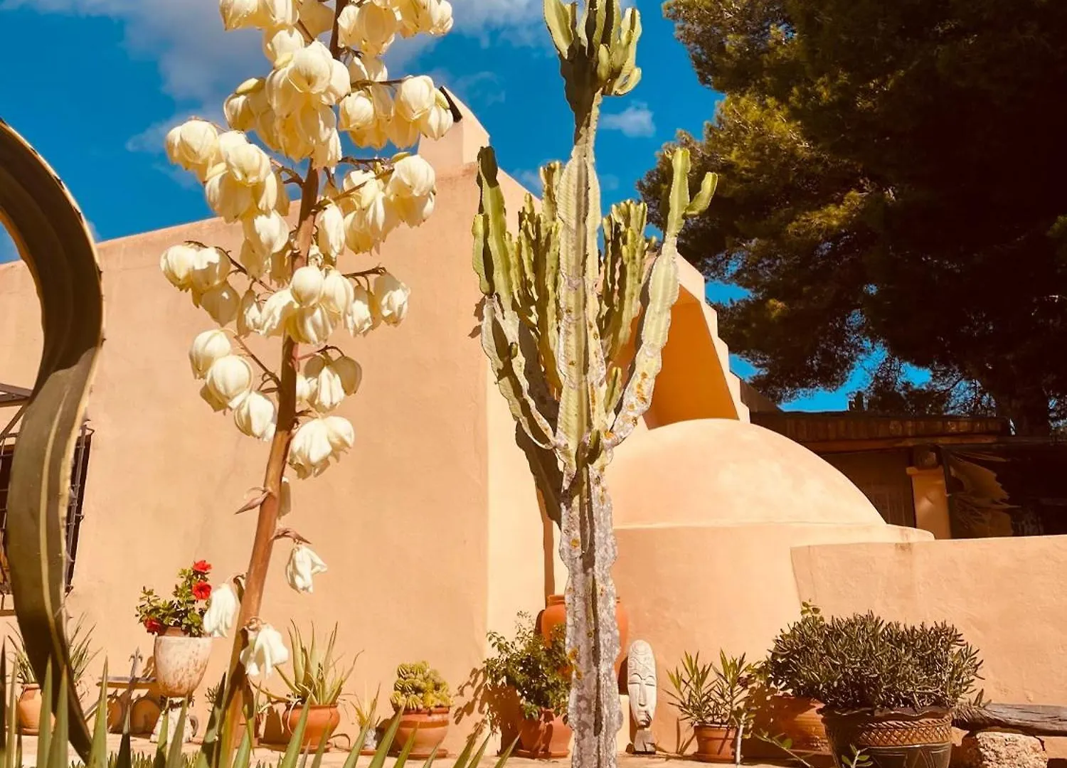 Finca Can Toni Sant Jordi de ses Salines Spain